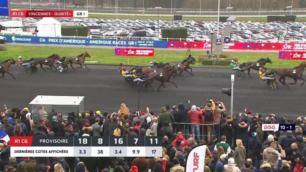 découvrez notre pronostic quinté+ du 8 février 2025 pour le prix de france amérique. analyse complète, conseils et résultats pour maximiser vos gains.