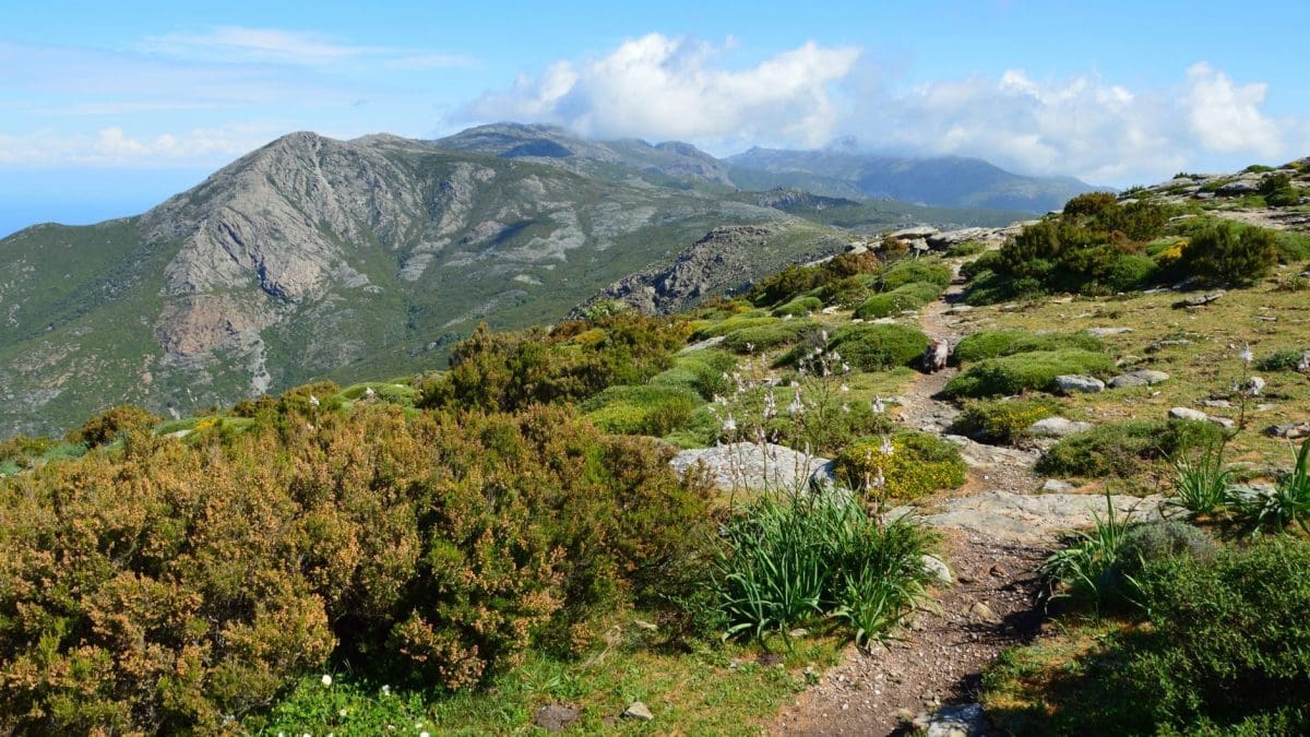 trail GR20 Corse